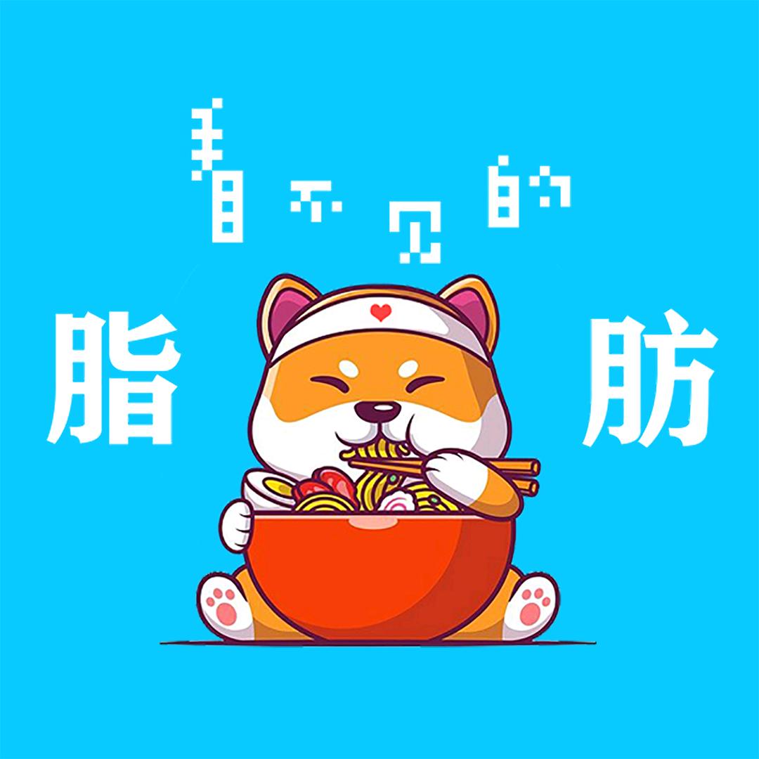 看不见的脂肪（身材书）