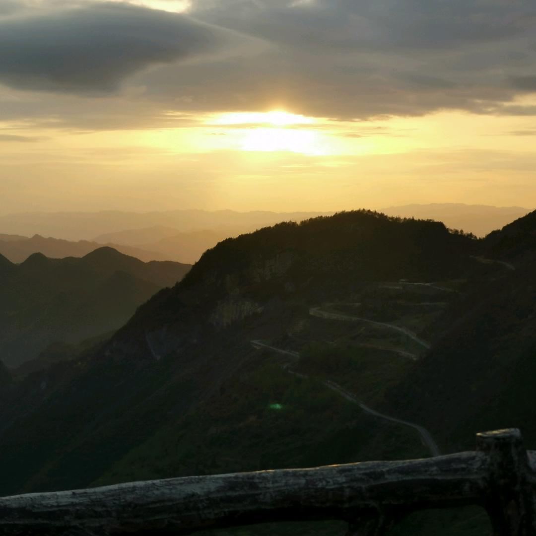刘你不住