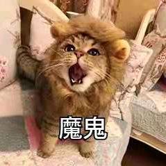 许愿🐥✨（大量搞价收抖）