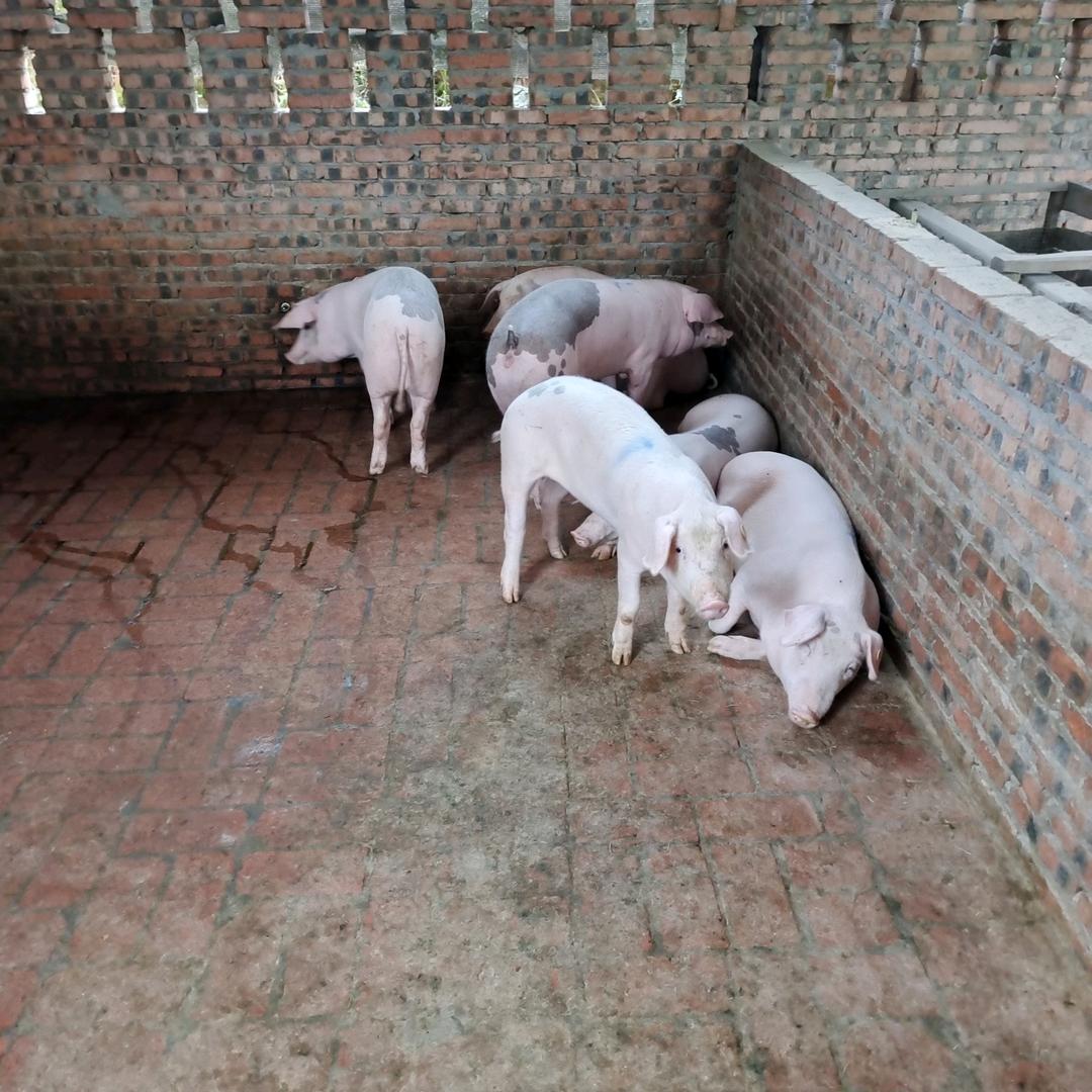 珍惜现在，将来