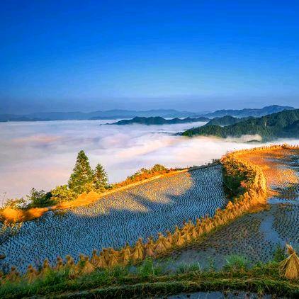 雷山嗡尼呗丽梯田度假民宿