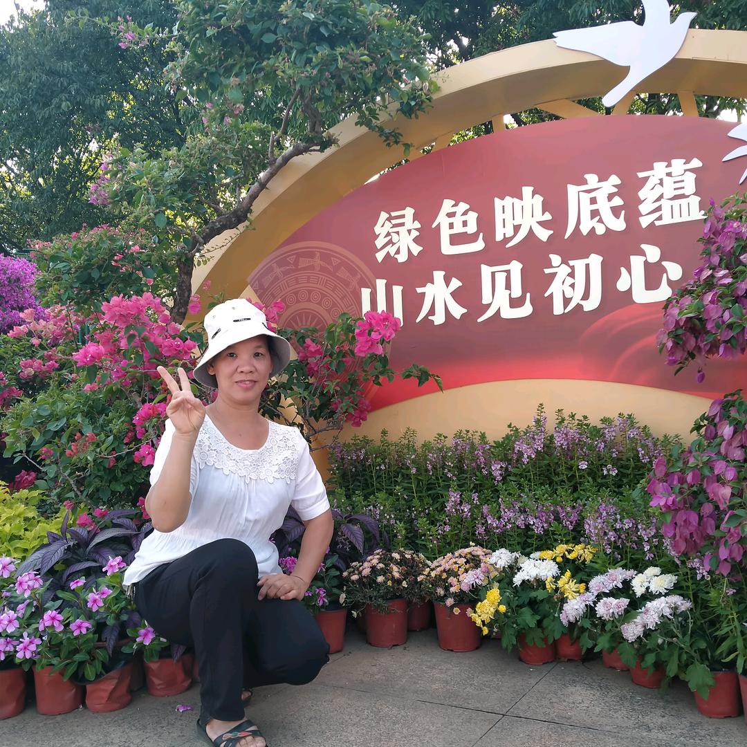 ☀柳叶🍀（直播号）