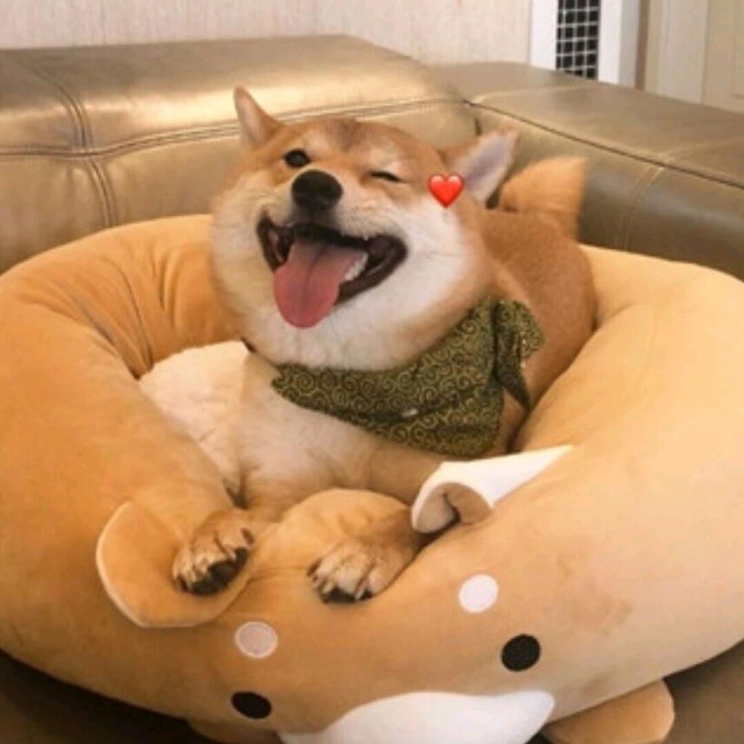 k^ω^k