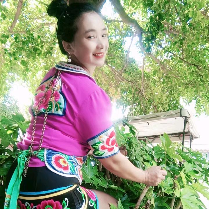 阿鲁姆奢:九妹