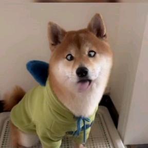 时光靓影
