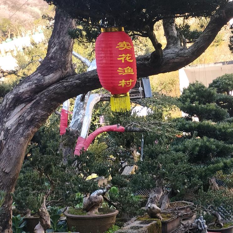 平安开心