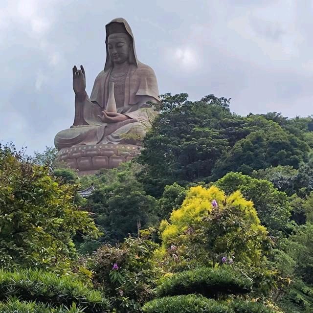 海阔凭鱼跃，天高任鸟飞