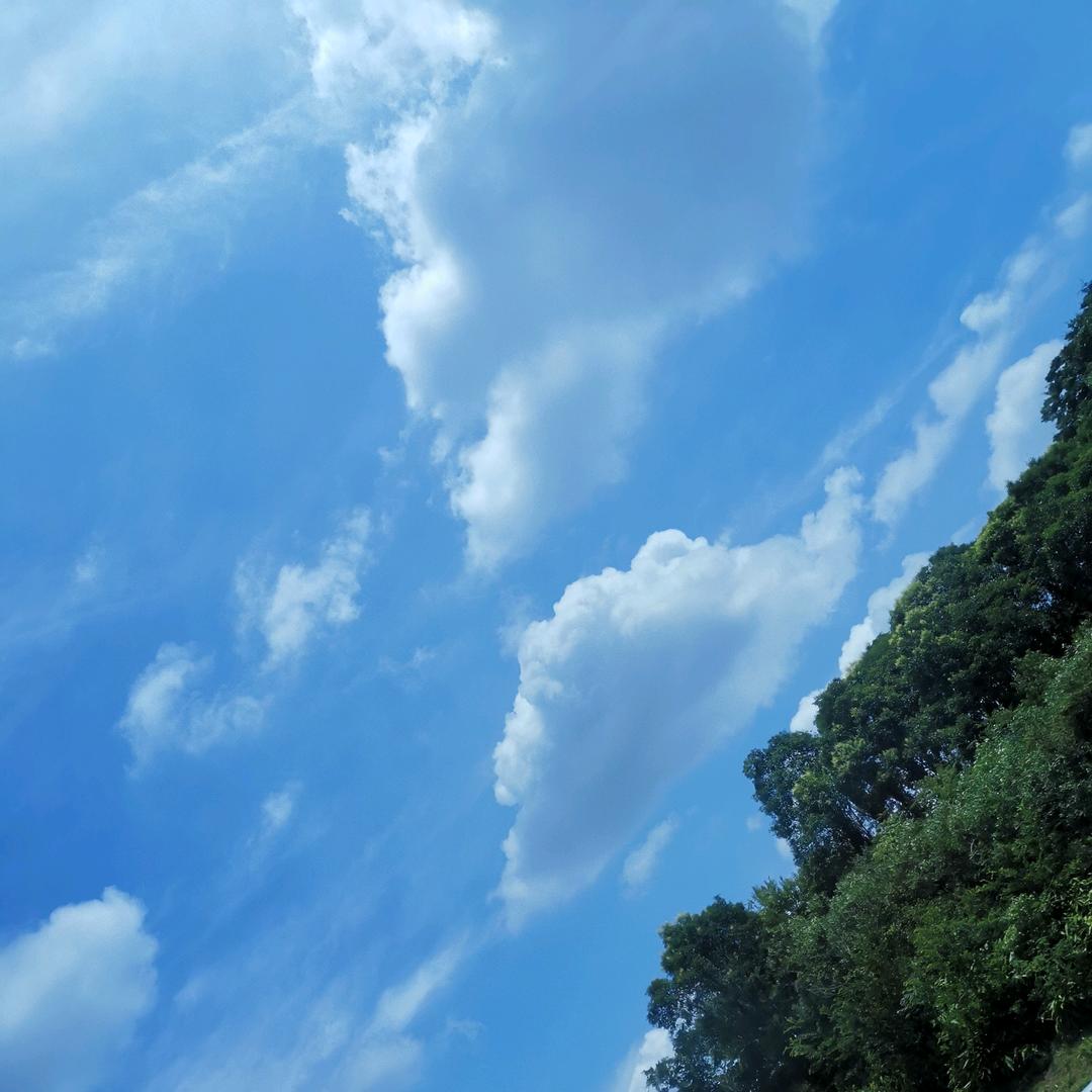 见路不走