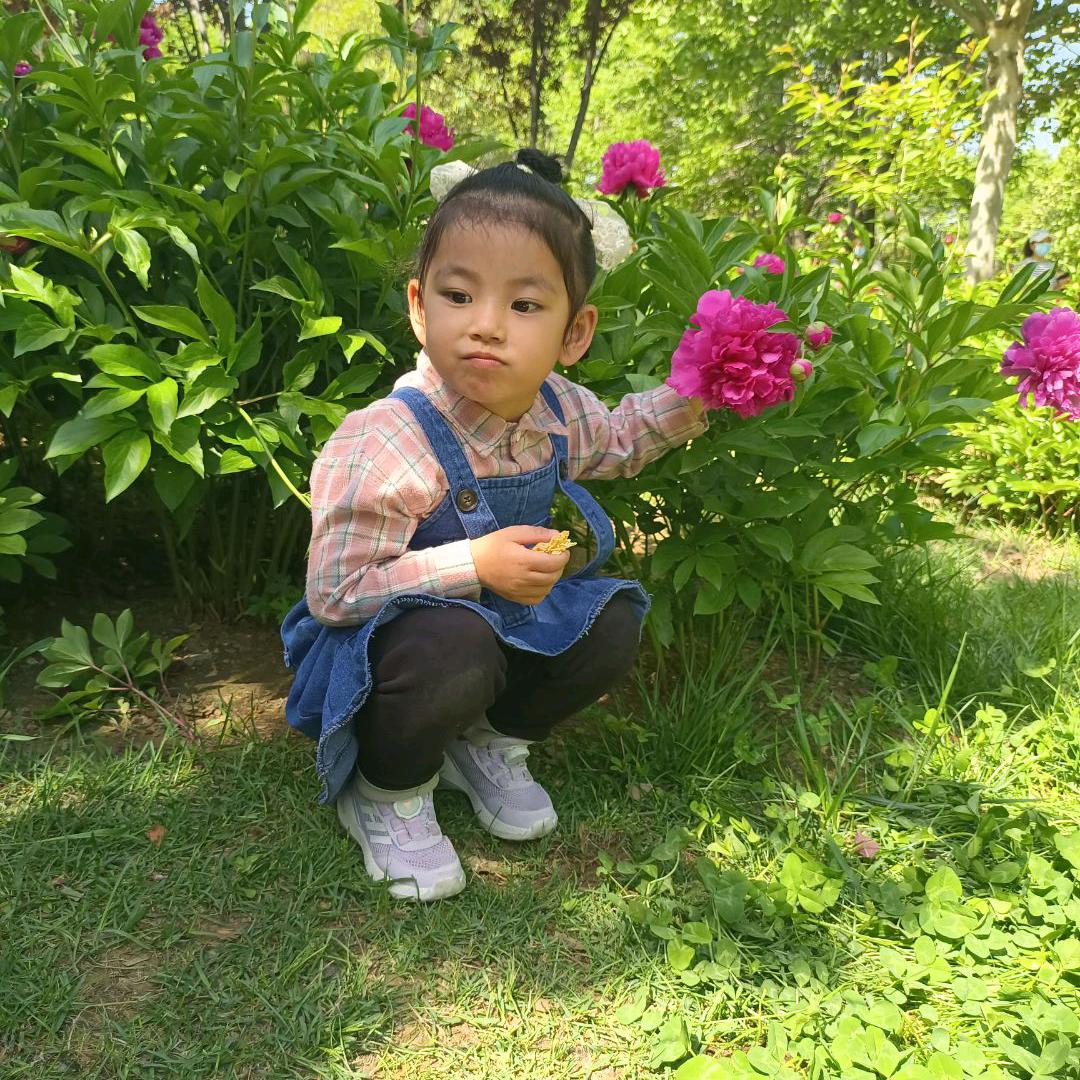 没啥意思，回家