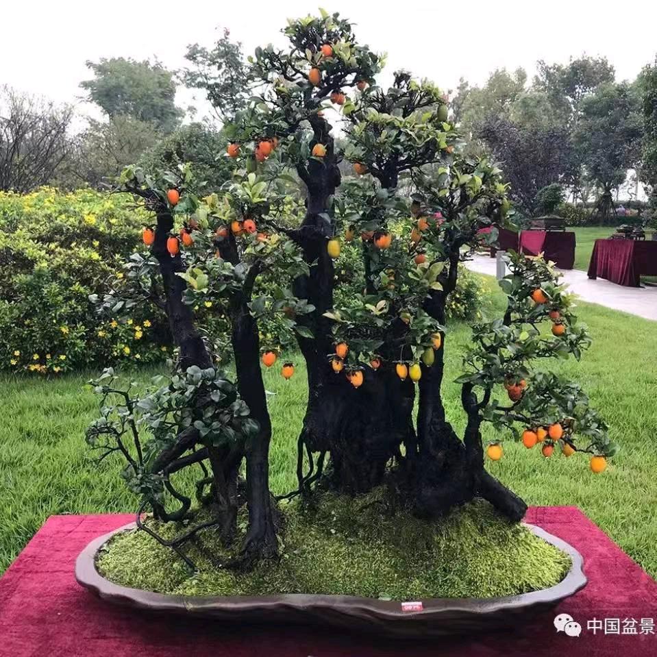 石桥大排档。