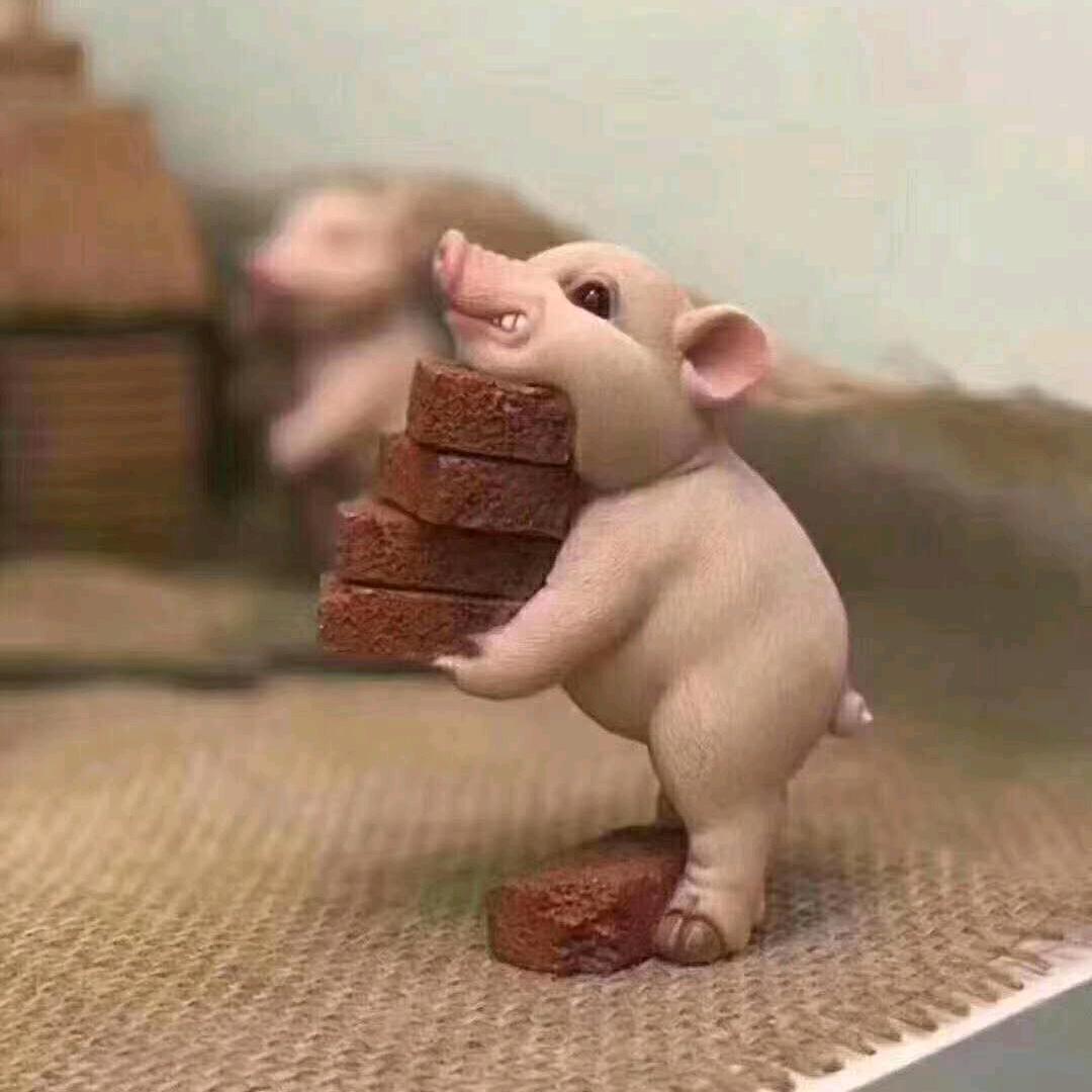 扛布皮皮