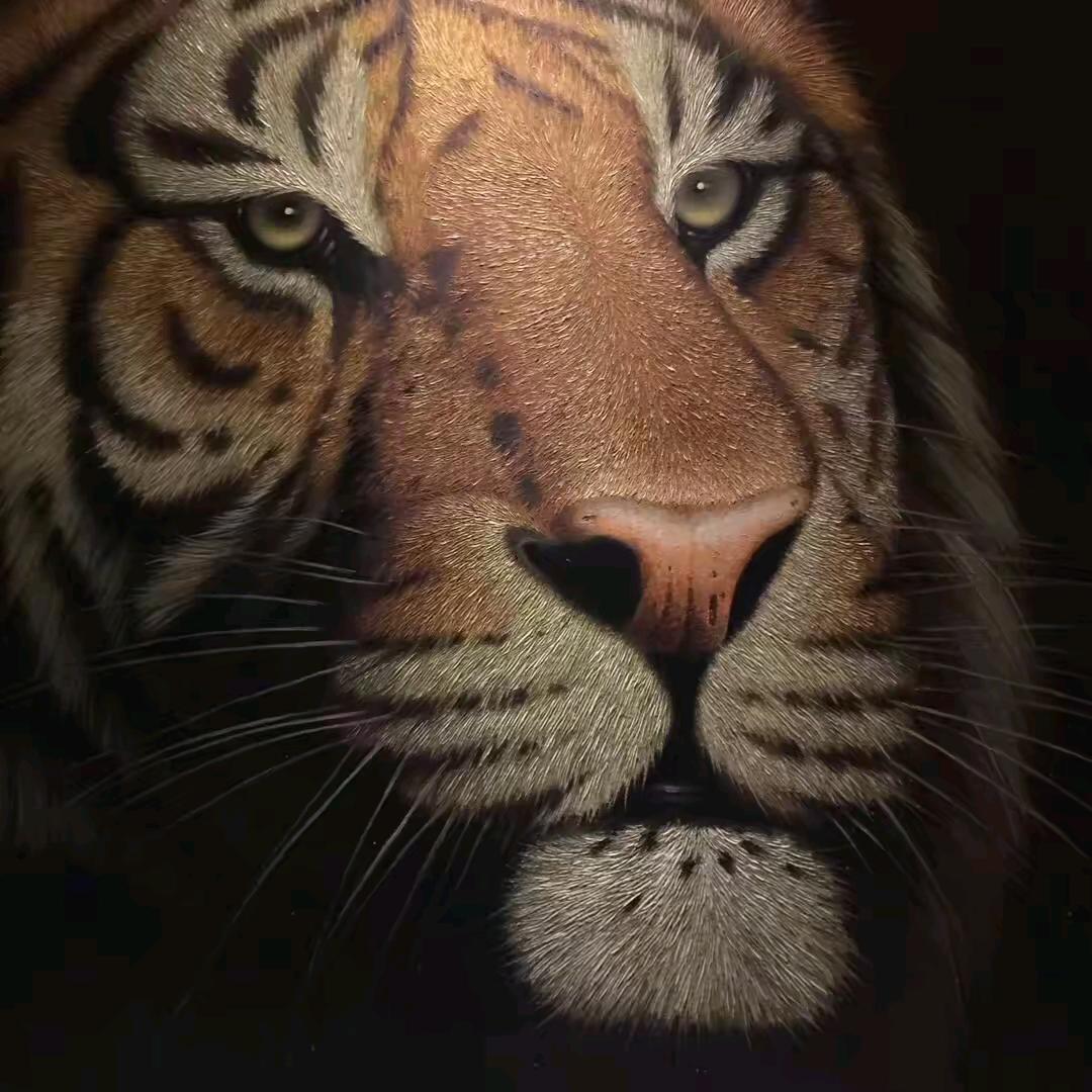 渡有缘人