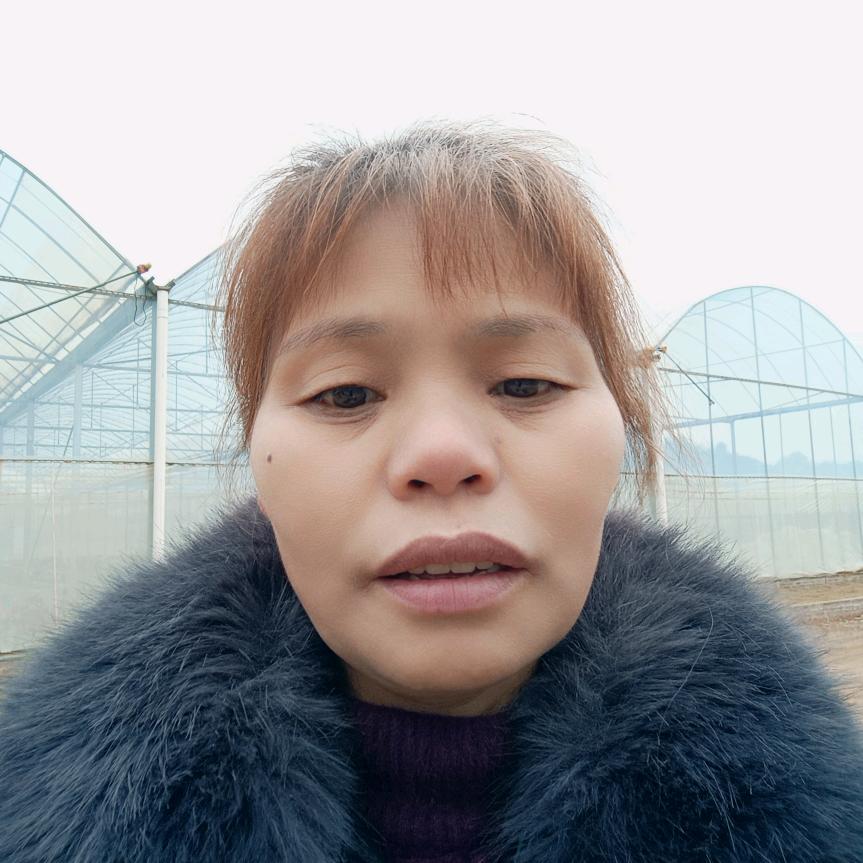 兰姐