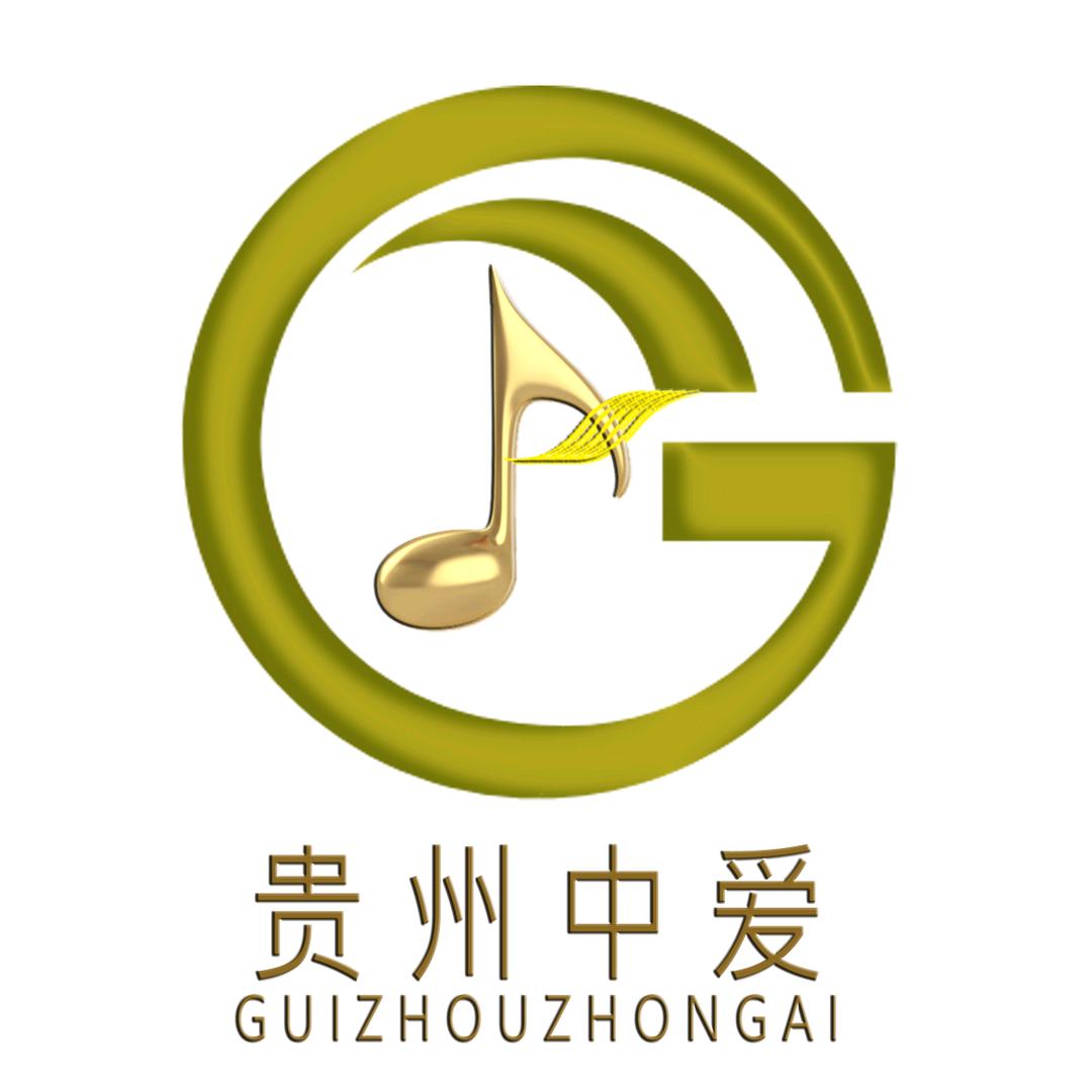 贵州中爱市民艺术夜校