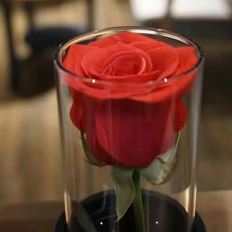 ღ᭄ꫛ一切顺黎ღ᭄ꫛ