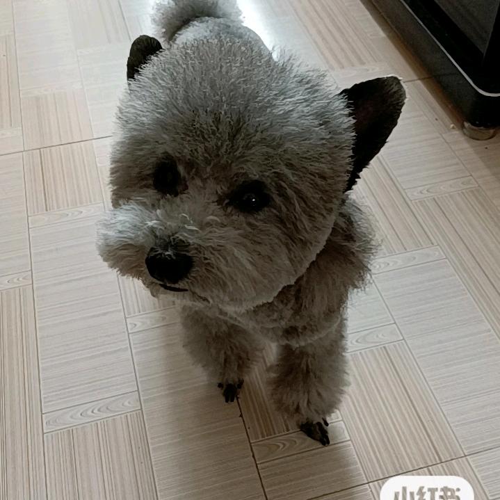 王
