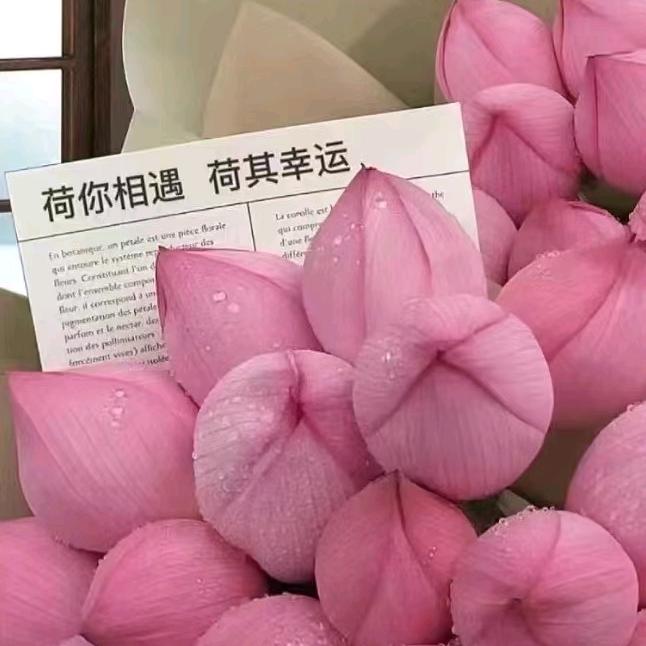 石狮市嘉米宝服装店