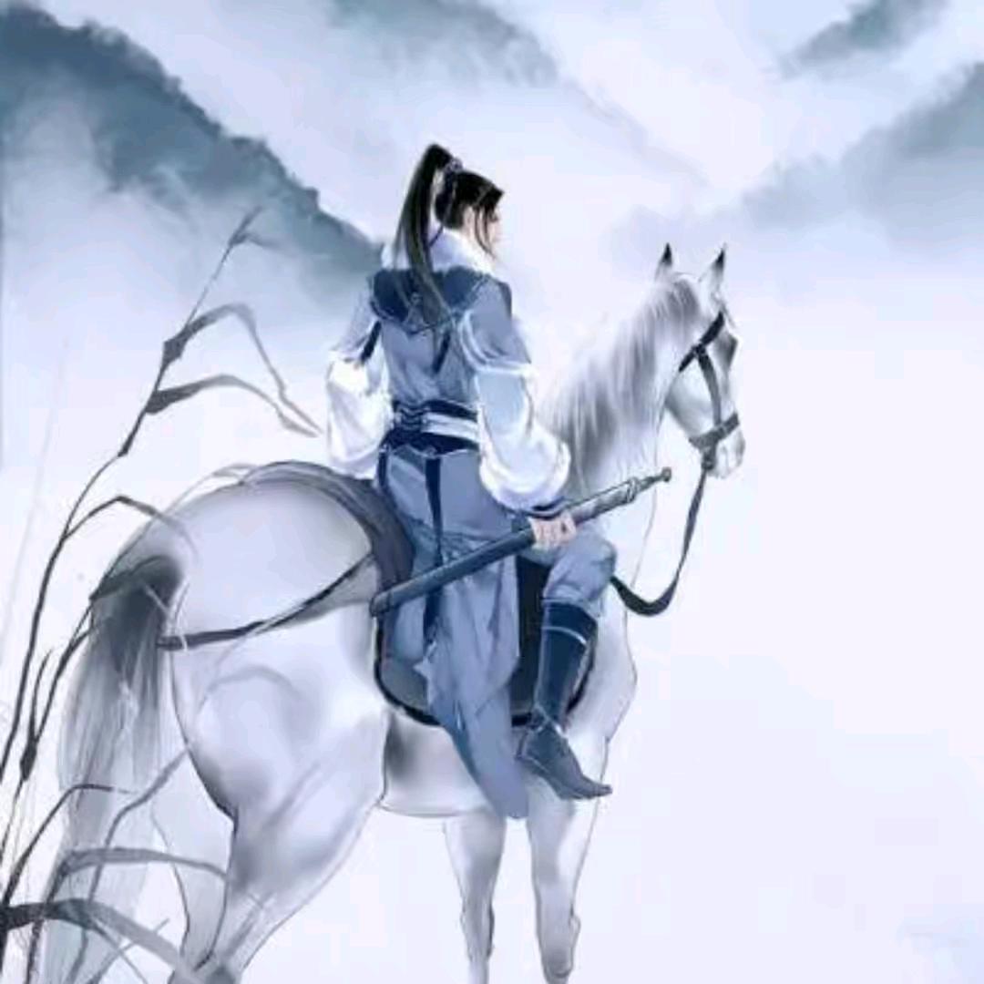 纵横四海