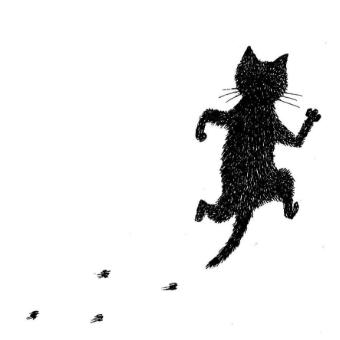 🐱y