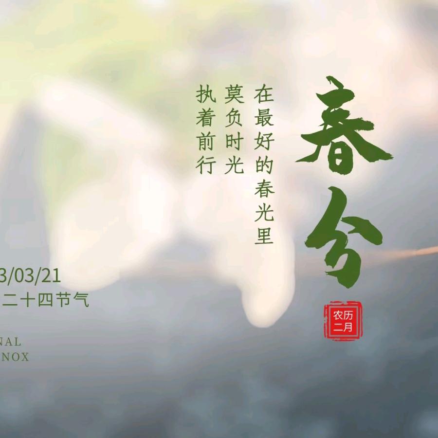 恋上花专营店