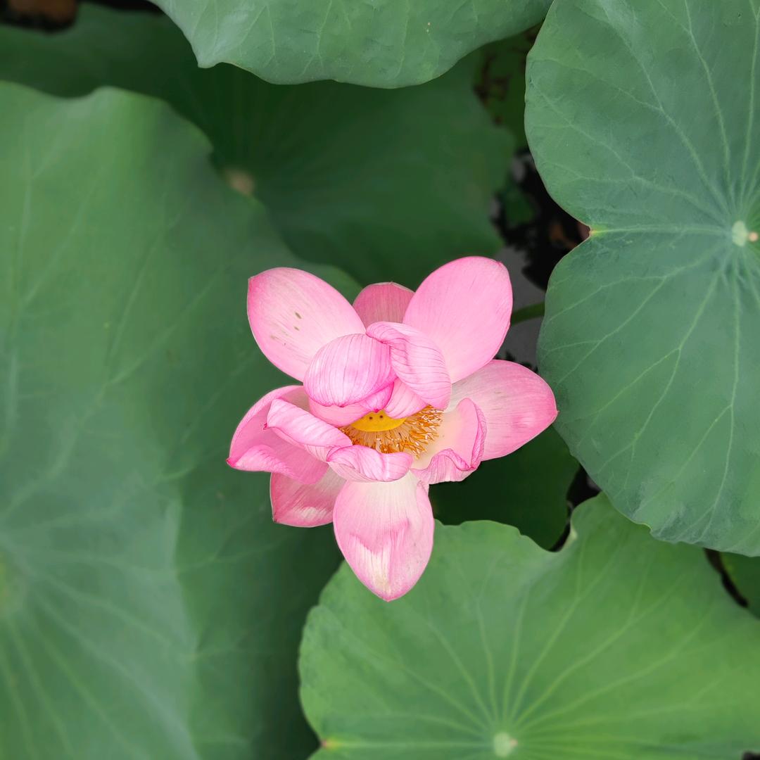 数智媒体工作坊