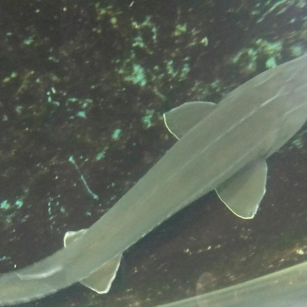 一生只爱你一个人