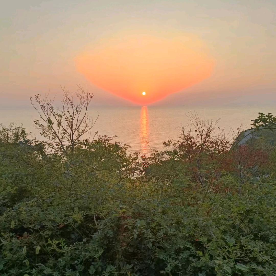 慧海