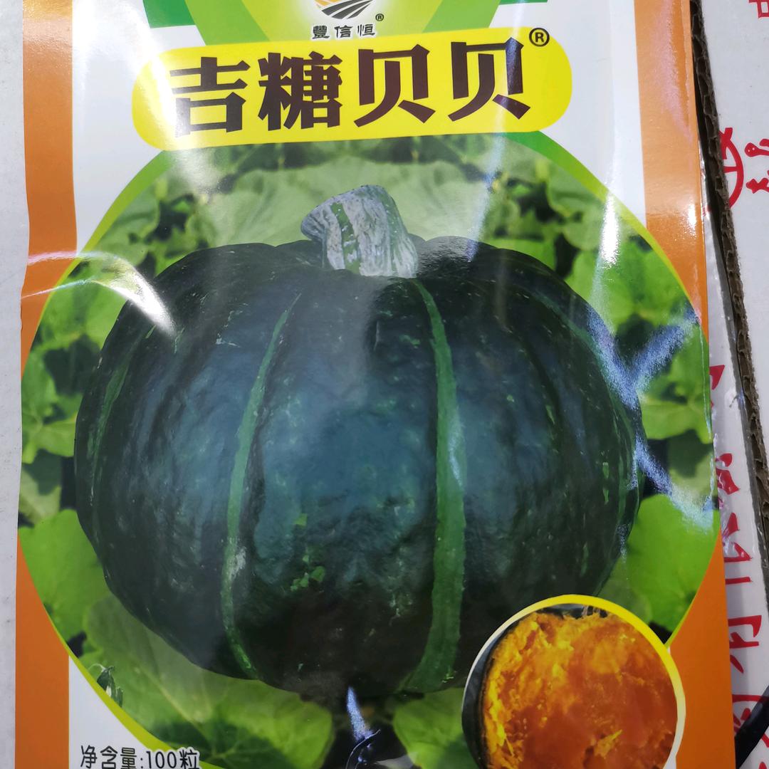 通许鼎优瓜菜