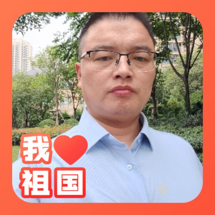 暴风雨的豹