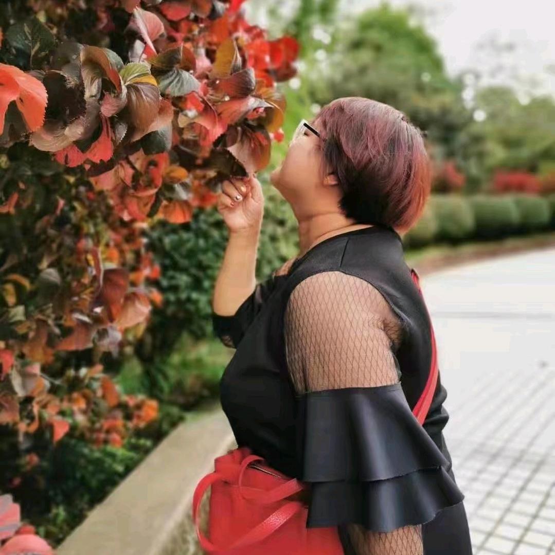 小胖妮带你吃喝玩乐