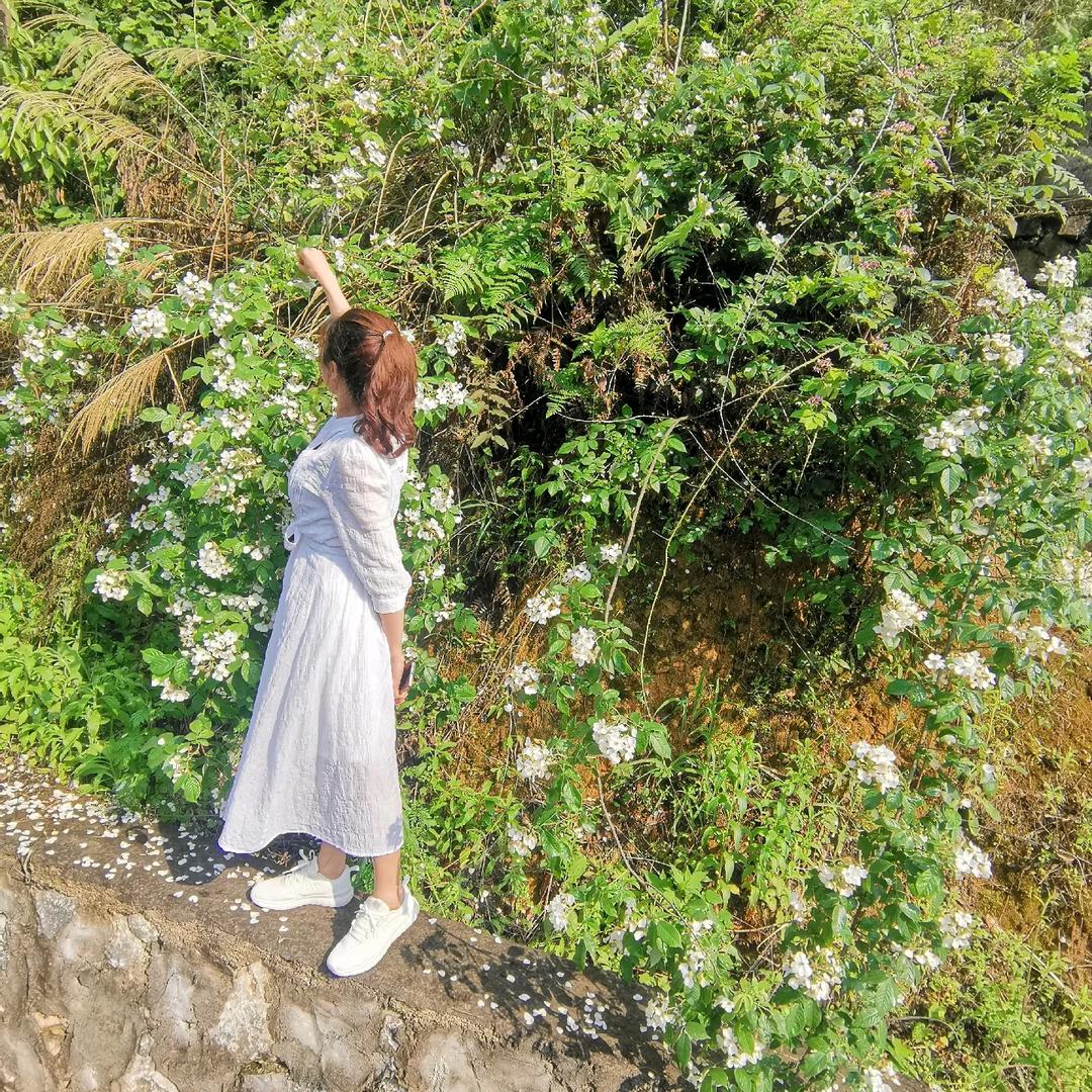 🎉木💞子💕李🎉