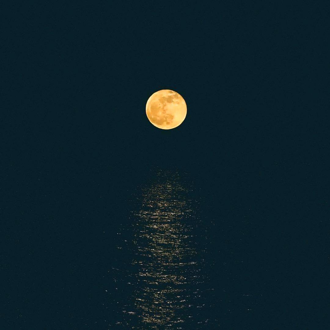 中铁物流