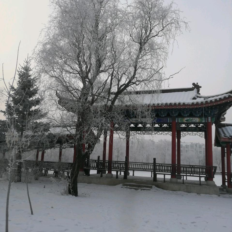 六零后