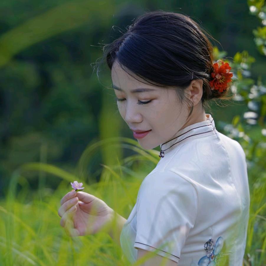 林上茶业