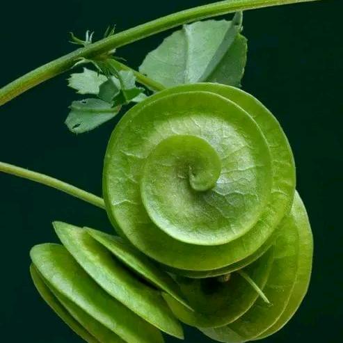 外地人，为自己撑伞