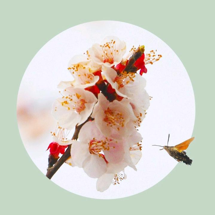 小江