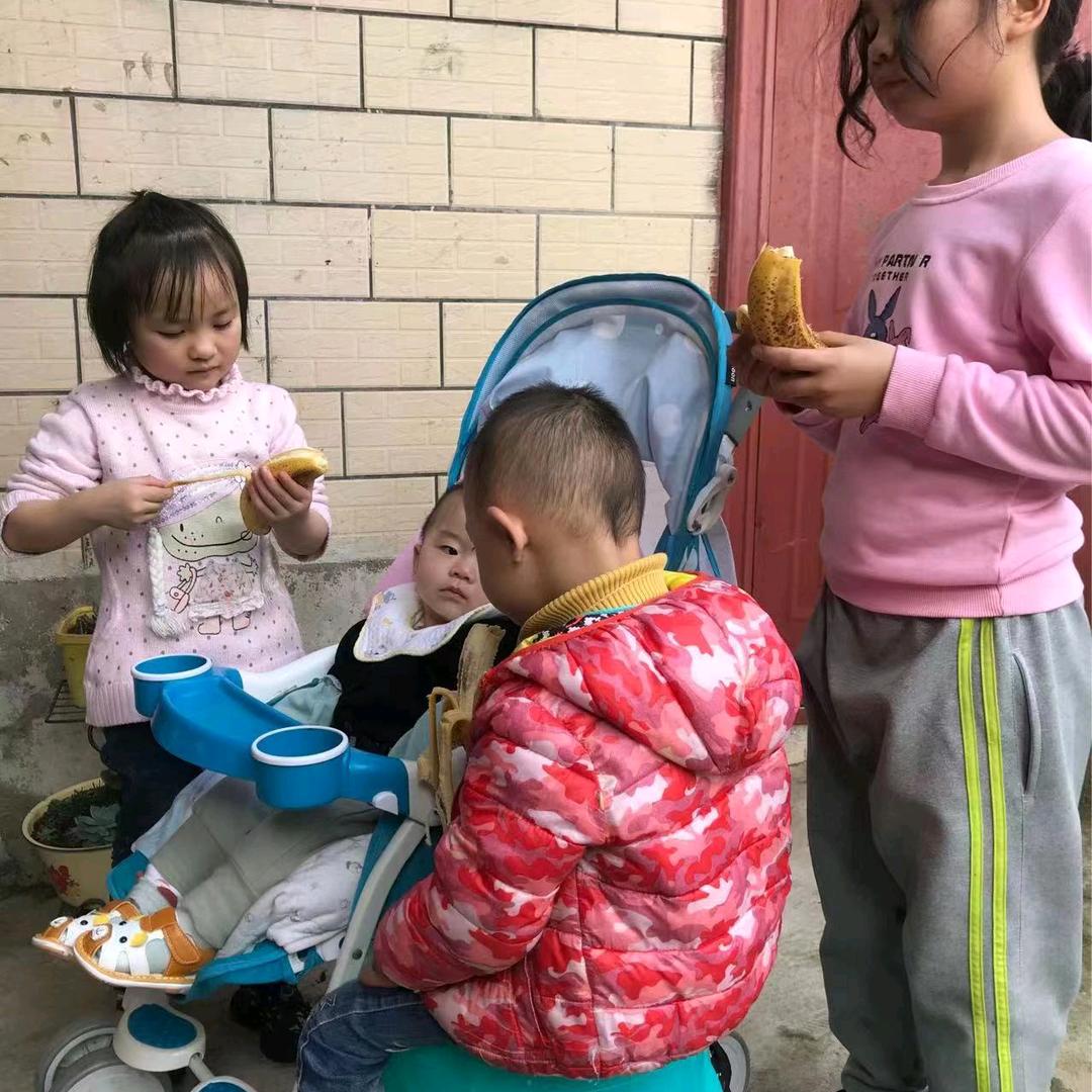 梅花香自苦寒来