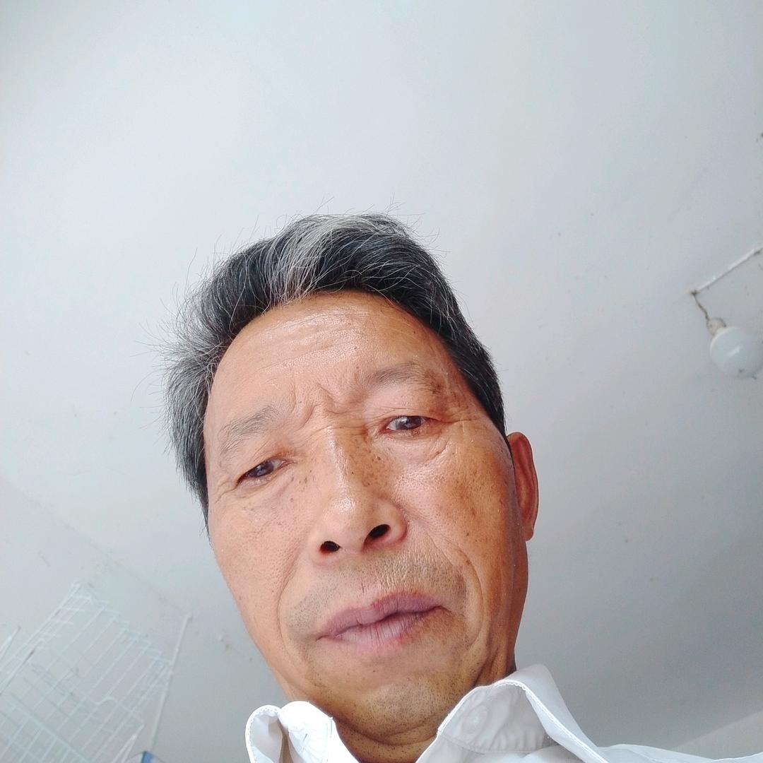 老杨