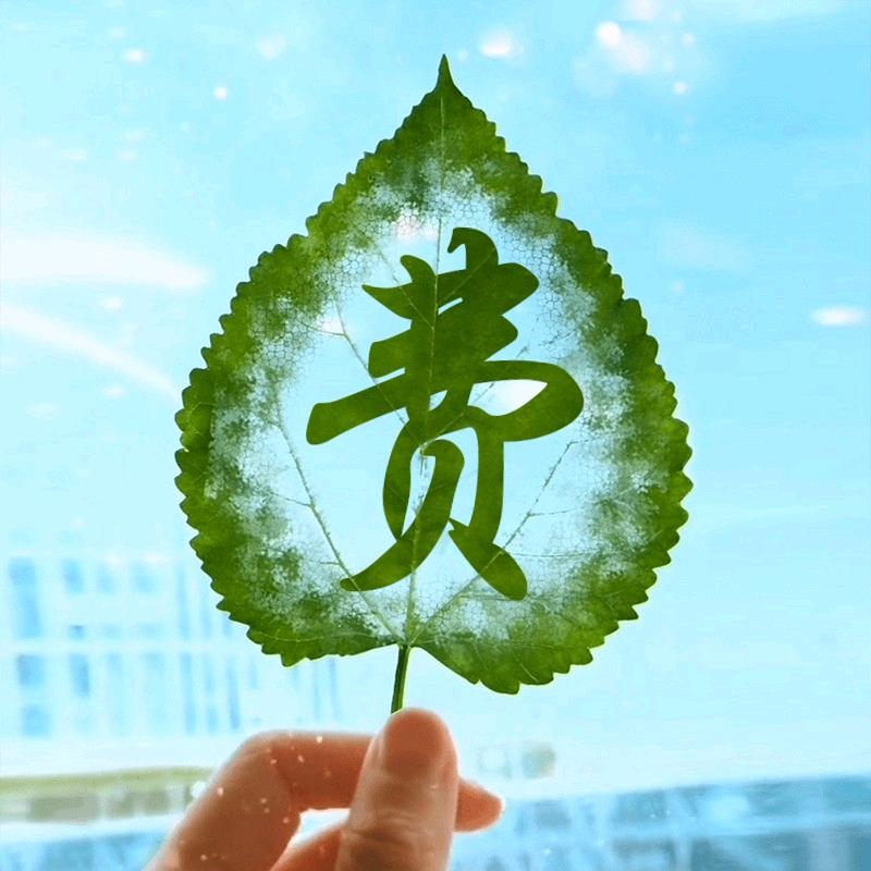 宿迁云吉城市交通设施有限公司