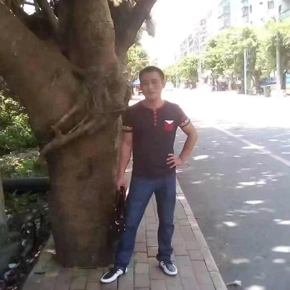 龙在✔天涯