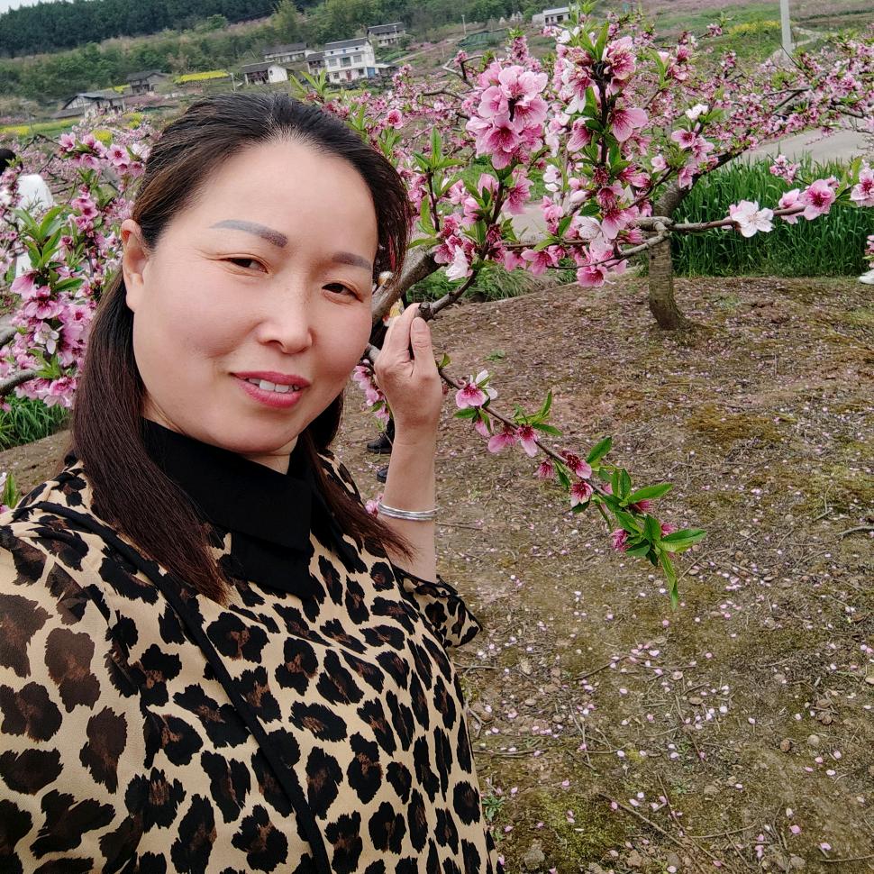 一世芳华