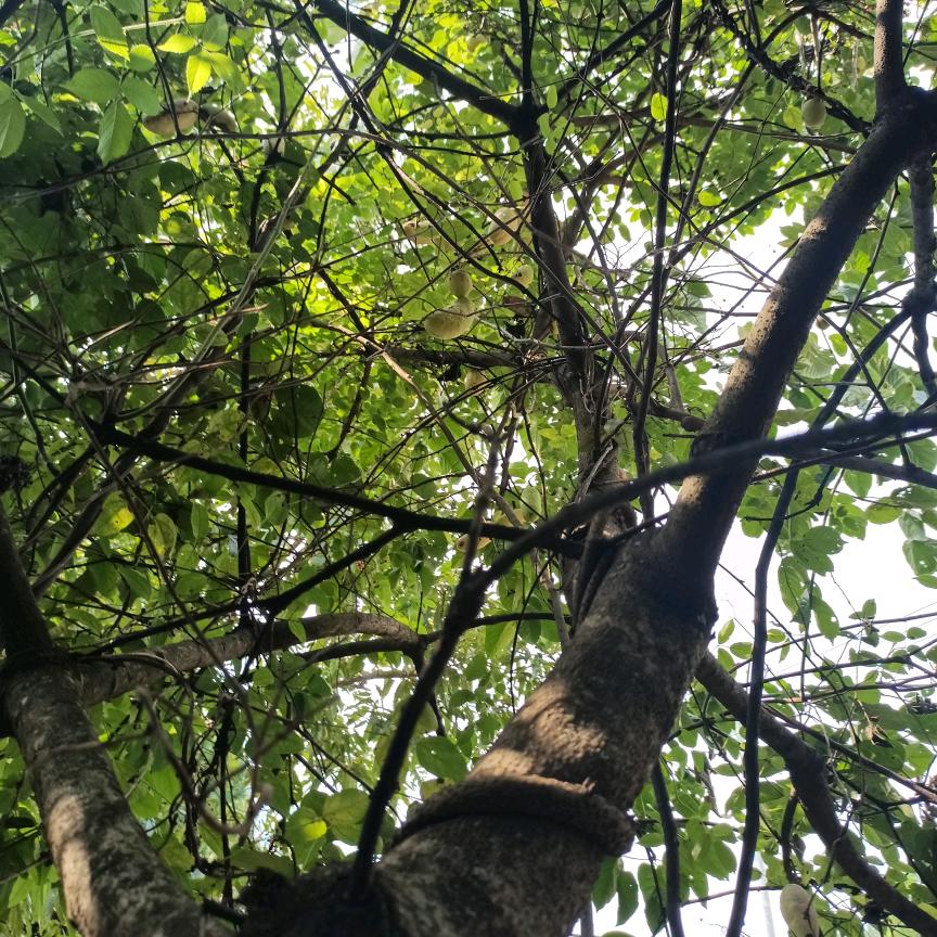 💃💃🧗‍♂️🧗‍♂️自由飞翔