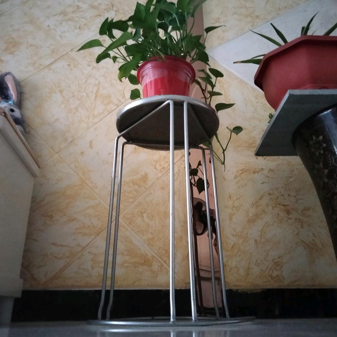 金易金丰