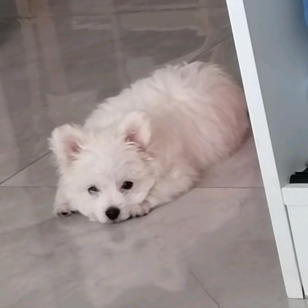 ..小七..