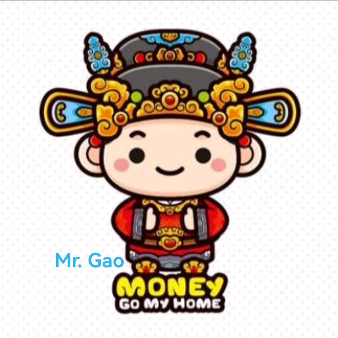 Mr. Gao