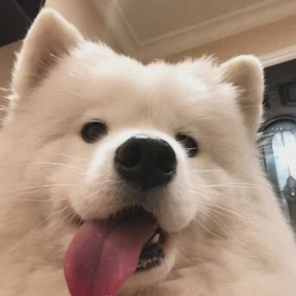 迦陵