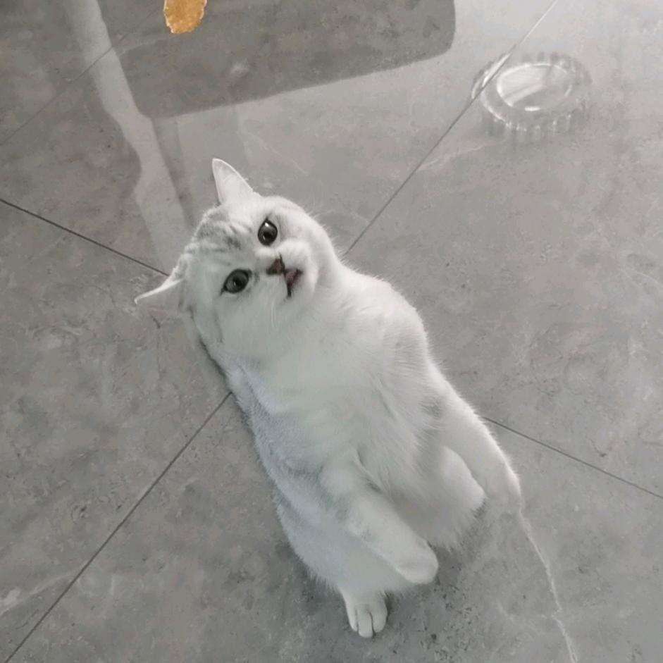 今夜有宇
