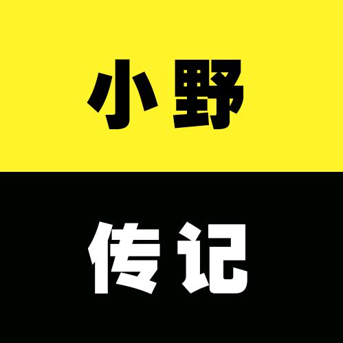 小野传记