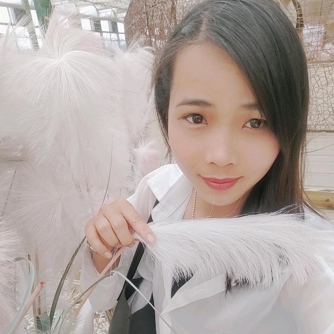 丿爱拼才の会赢