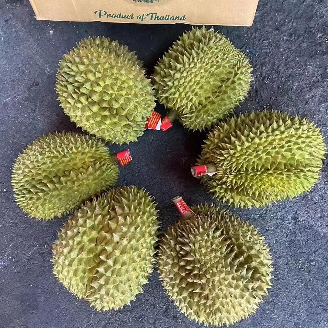 众森林果业杜